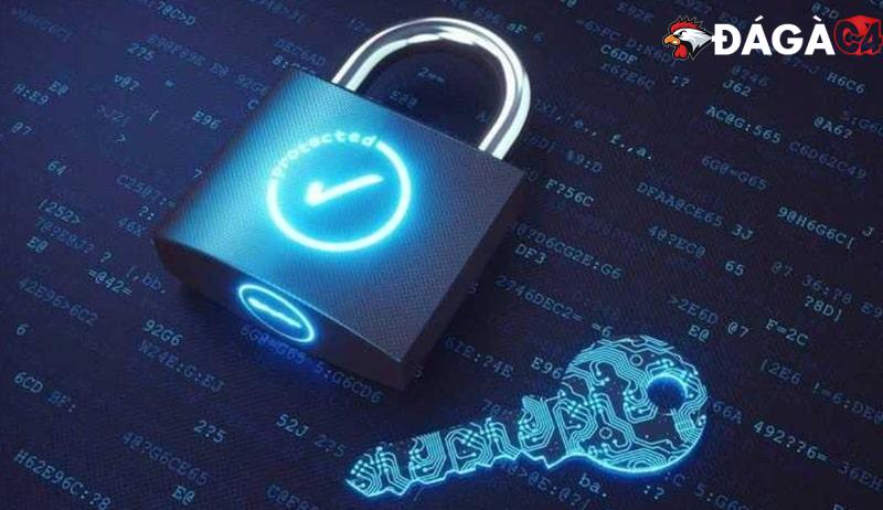 Thông tin người dùng được thu thập nhằm mục đích gì?