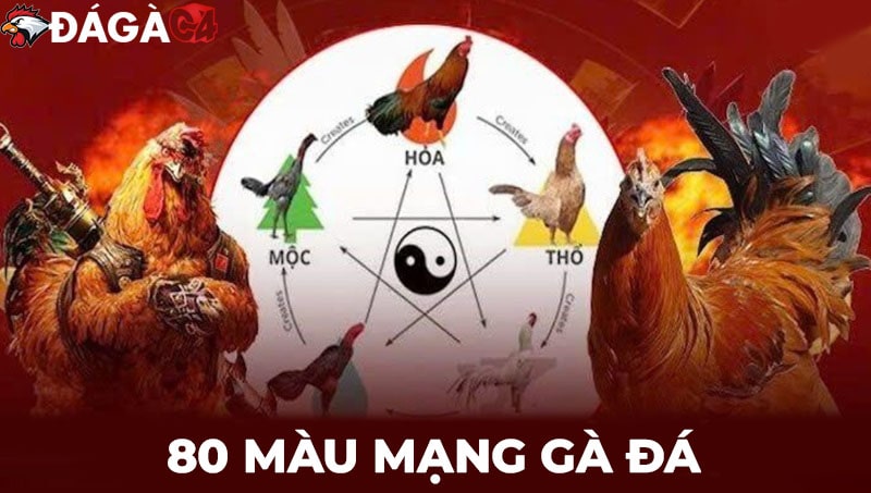 80 màu mạng gà đá: Đâu là màu sắc may mắn của bạn?